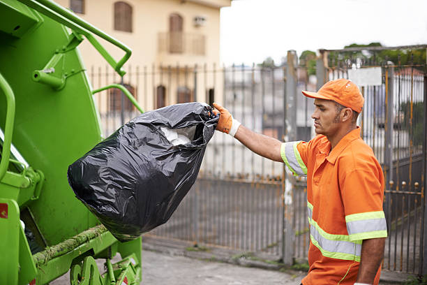 Best Yard Waste Removal  in Apollo Beach, FL